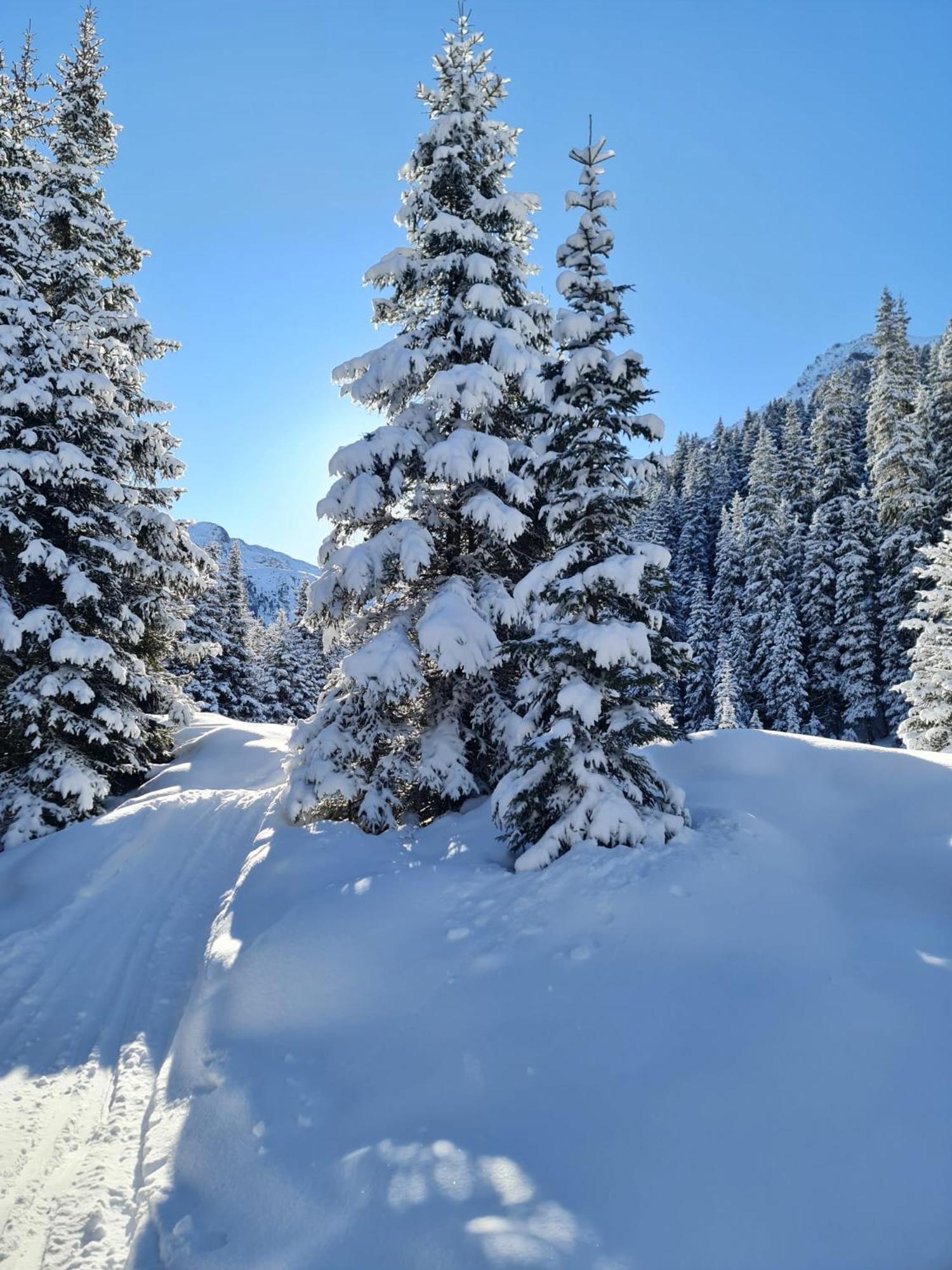 Haus Alpenblick Apartman See Kültér fotó